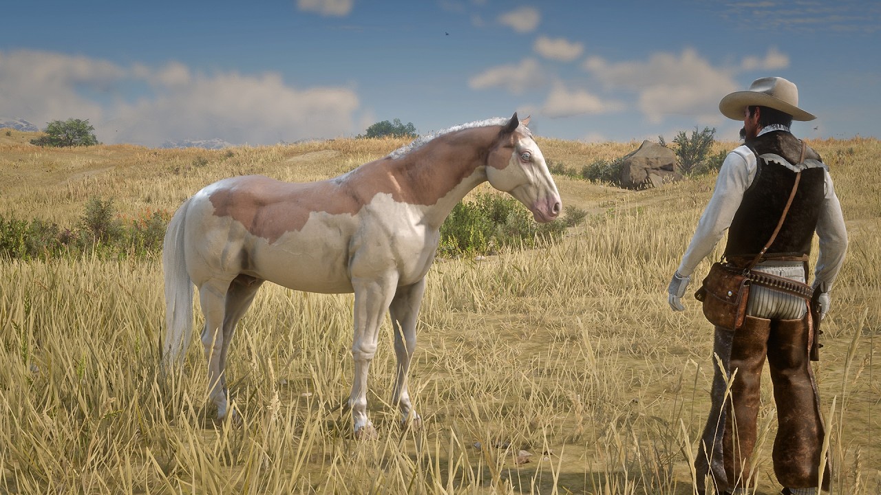 John Marston Tames Rare Splashed White American Paint Horse near West Elizabeth | RDR2