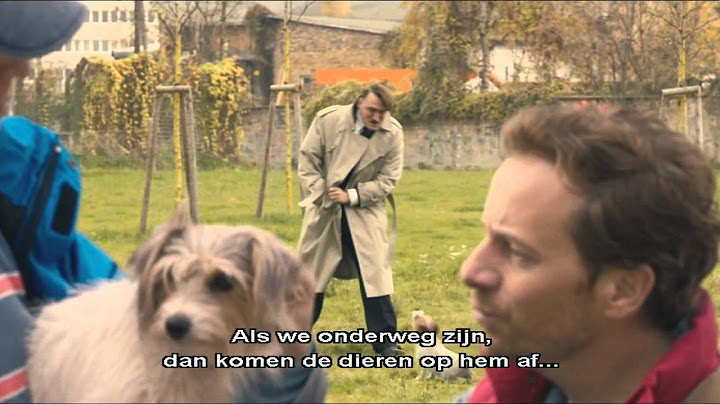 Er ist wieder da - Dog scene