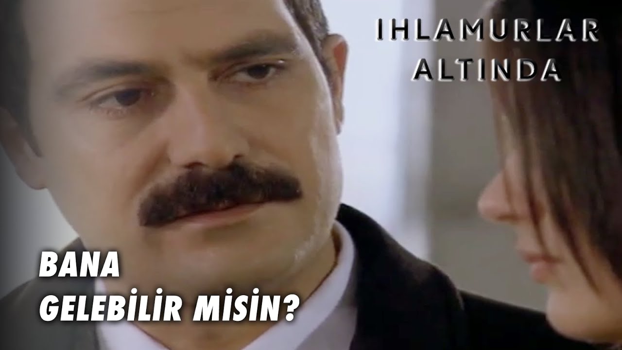 ihlamurlar