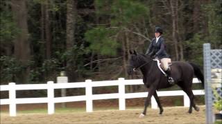 Junior and Logan - Children's Hunters (1) - Ashley Hall Horse Show