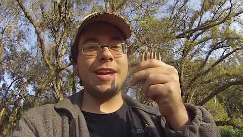 What can an 8MM Mauser Round Do? 1949 FMJ Ammo Requested Video