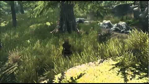 skyrim graphical artifact