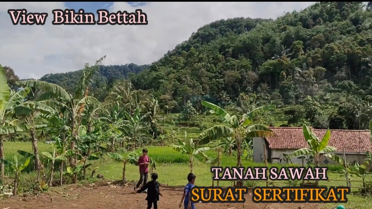 Dijual Tnh Sawah Dn Kebun Surat Sertifikat Hakmilik View Gunung Suasana Asri Di Pedasaan