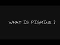 What is pigmine