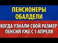 Миллионы пенсионеров ликуют! Узнали, когда Пенсия вырастет до небес!