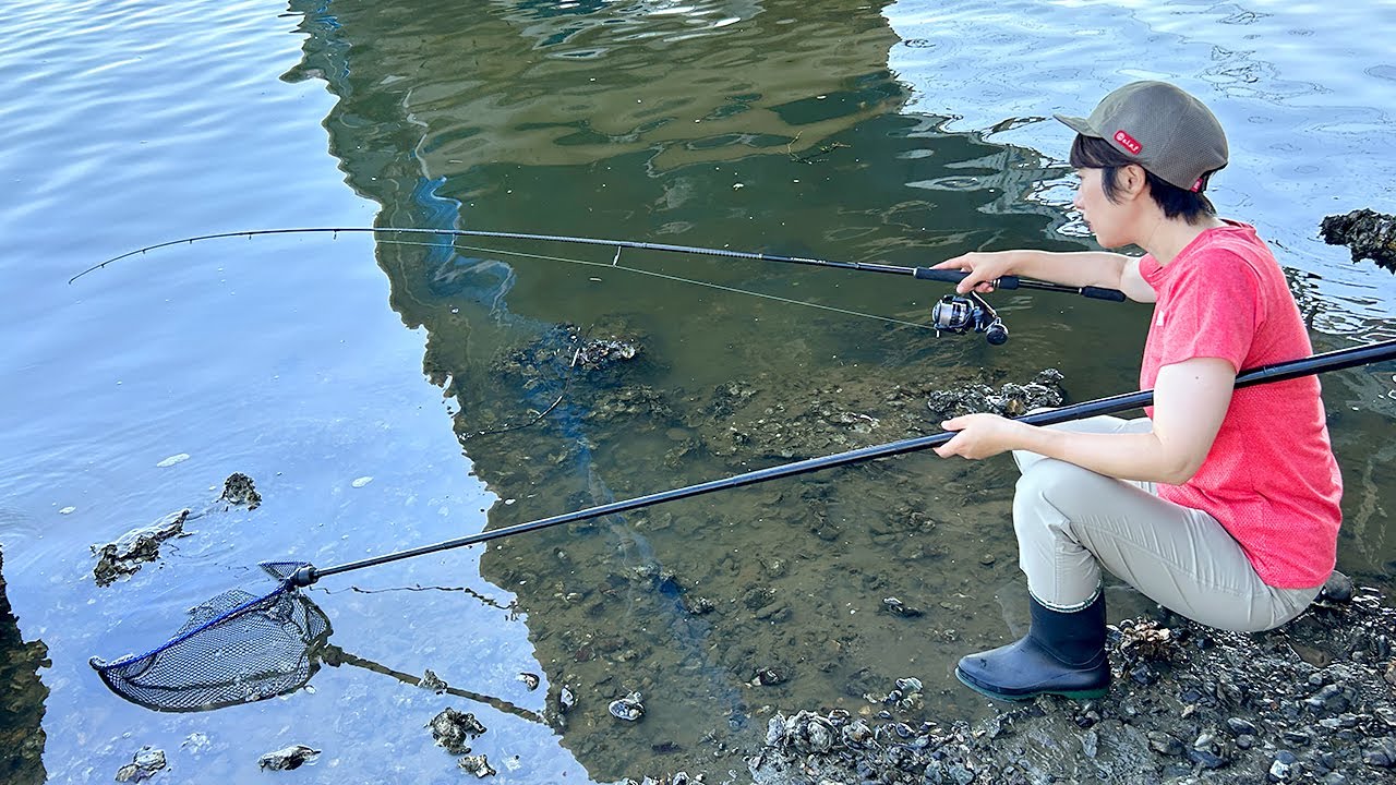 Вы можете легко поймать более дорогие ингредиенты, чем угорь