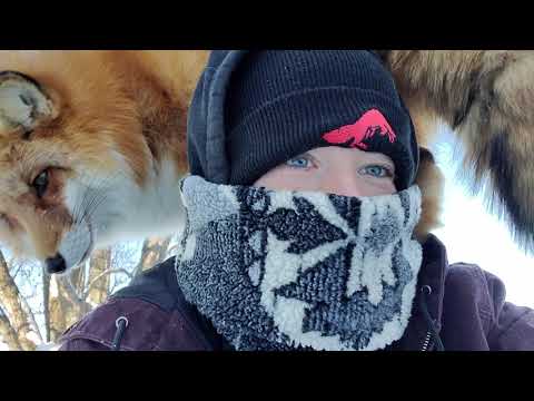 Finnegan Fox has no patience 😅
