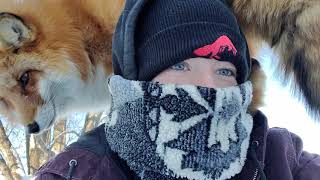 Finnegan Fox has no patience 😅
