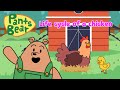 Life Cycle of a Chicken | Fun Farm Adventure | #Pantsbear