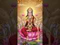 maa Laxmi 🙏🙏🙏🙏 #laxmi #song #laxminarayansong #musicgenre #love #laxmiaman #musicsong #sorts