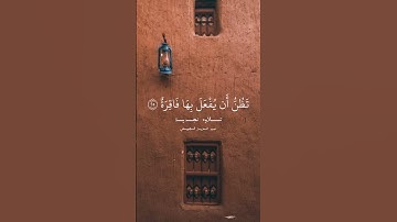 ﴿ لَا أُقْسِمُ بِيَوْمِ الْقِيَامَةِ ﴾ [ سورة القيامة: ١] #القرآن_الكريم  #القرآن