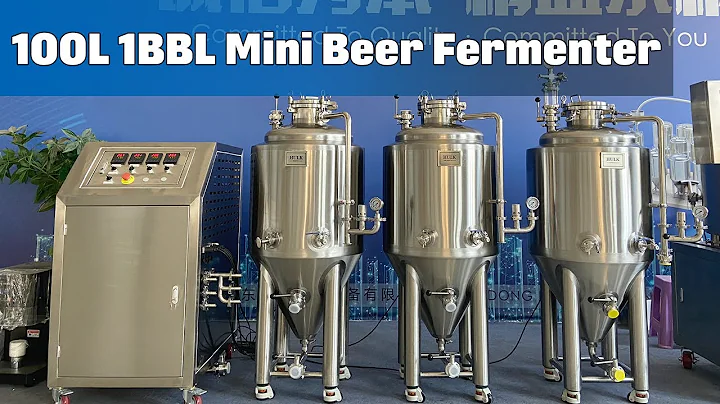 100L 1BBL Mini Beer Fermentation Tank Unitank | HULK Brewtech