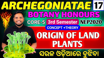 Origin of land plants|botany hons core5|bsc 3rd semester botany honours|botany honours core5 botany 