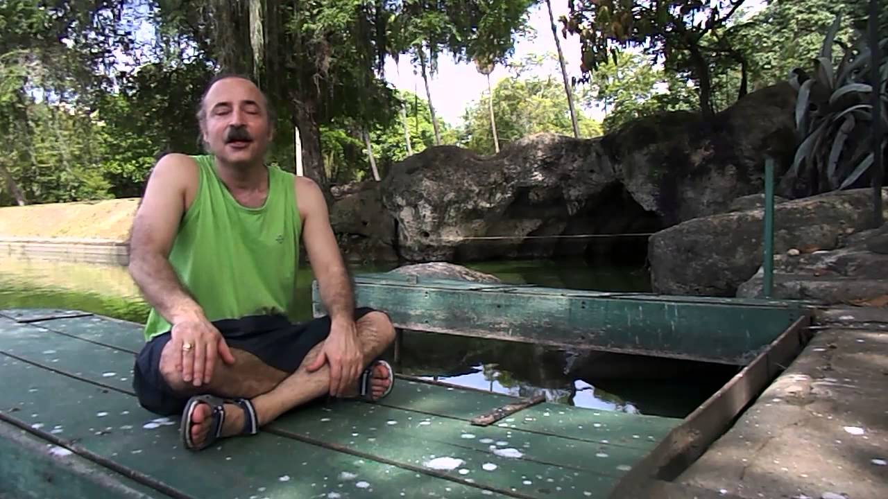 Sol Fletcher Canal Raios de Sol - Fletcher Schwartz - The importance of impulse ...