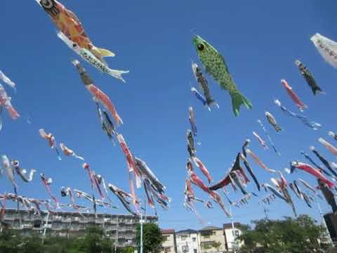 高槻　こいのぼりフェスタ１０００