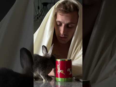 ВАЛЯ #КАРНАВАЛ И САША #СТОУН РАССТАЛИСЬ...