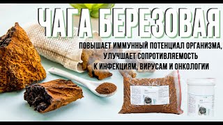 Чага березовая – средство против онкологии и вирусов из народной медицины. Рассказывает Гарбузов Г.А