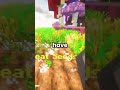 The best server for Easter 🐣 #minecraftserver #minecraft #smp #easter #skyblock