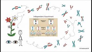 WEEK 3-SCIENCE 8 (The Secret Code of Life-Genetics)
