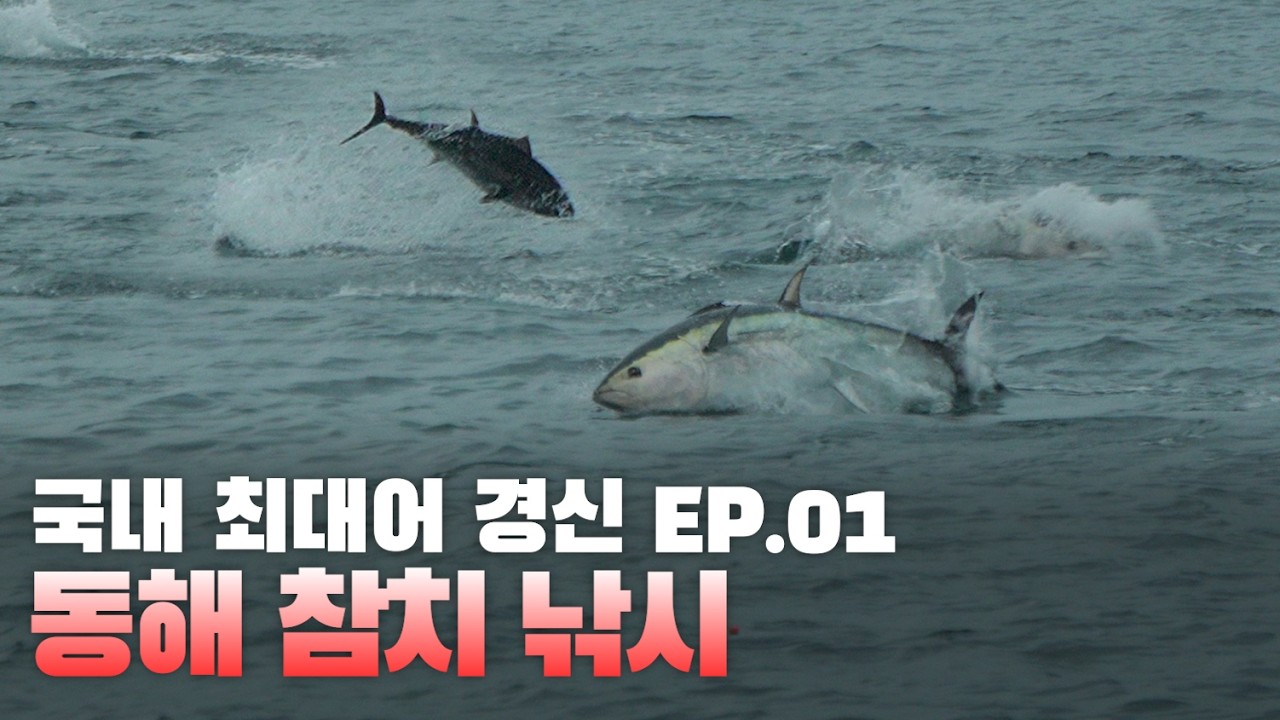 국내 최대어 170kg 신기록! 동해 참치 낚시 여정의 시작 EP.1