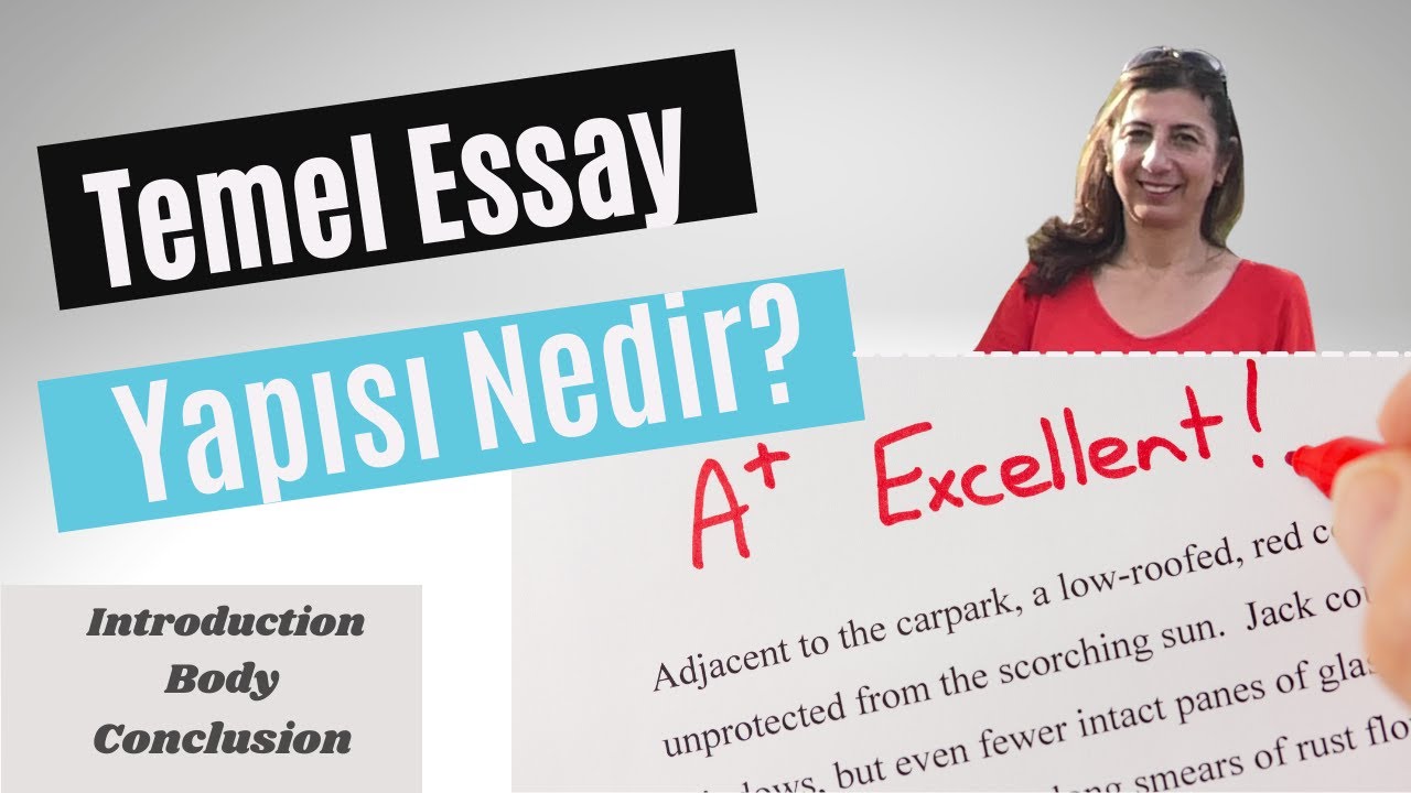 essay nedir turkce