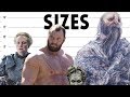 Game of Thrones Character Sizes