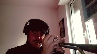 Danny Boy (trumpet version)