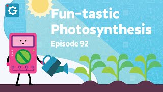 How Do Plants Breathe? [Fun-tastic Photosynthesis]