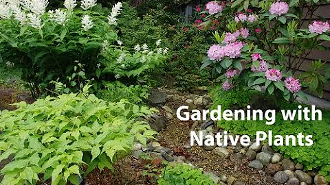 Gardening with native plants webinar