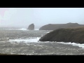 Skomer - 27-12-13