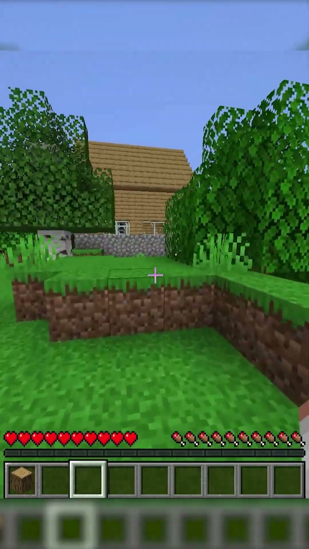 MINECRAFT Dar Sunt EU vs TU...