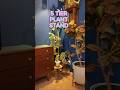 5 Tier Plant Stand #homedecor #plants #growlights #plantdecor #plantstand