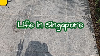 Vlog  Lesser work days week | Busy with daily life |  Plant Nursery visit | Realistic days in SG
