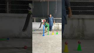TeCone 10 Millions views 💯 | Basic T-Cone For cricket | TconeDriLL #shorts #explore #trending #top10
