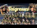 Taigresses in Taiwan | by Eya Laure