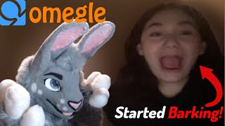 Fursuiter Goes On Omegle