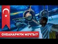 Турция Анталия / Antalya Aquarium / Аквариум в Анталии  / Турция 2021