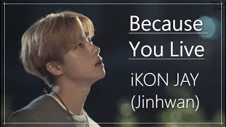 [FMV] Because You Live - iKON JAY/Jinhwan (short ver.)