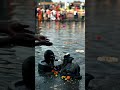 HarHar Mahadev