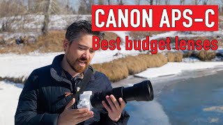 Лучшие бюджетные объективы для зеркальных фотоаппаратов Canon APS-C