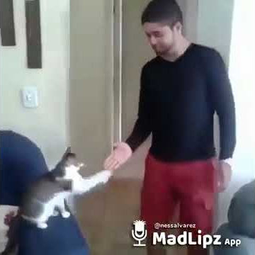 7 de septiembre de 2019