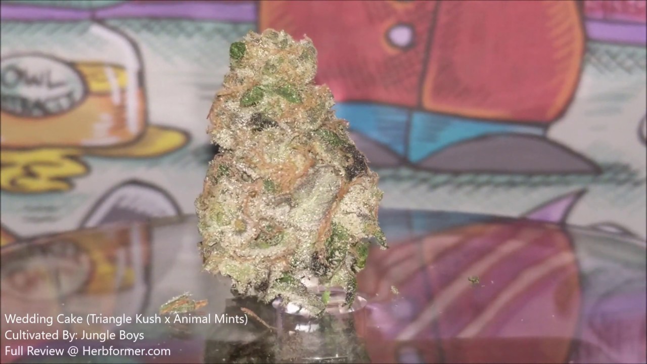 [Jungle Boys] Wedding Cake