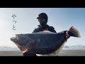 やっと開幕...今季初の座布団ヒラメ【室蘭沖堤】