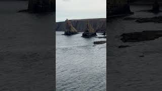 🏴󠁧󠁢󠁳󠁣󠁴󠁿SEA STACKS SCOTLAND COAST 🏴󠁧󠁢󠁳󠁣󠁴󠁿#travel #sightseeing #shorts #scotland
