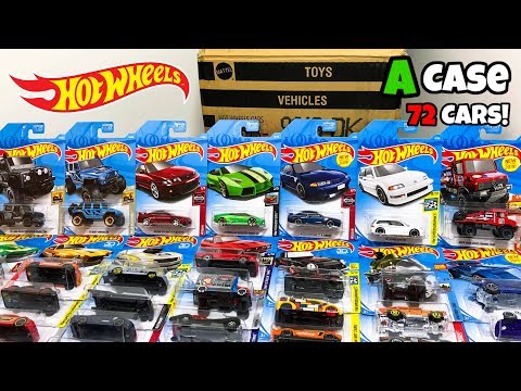 case a 2019 hot wheels