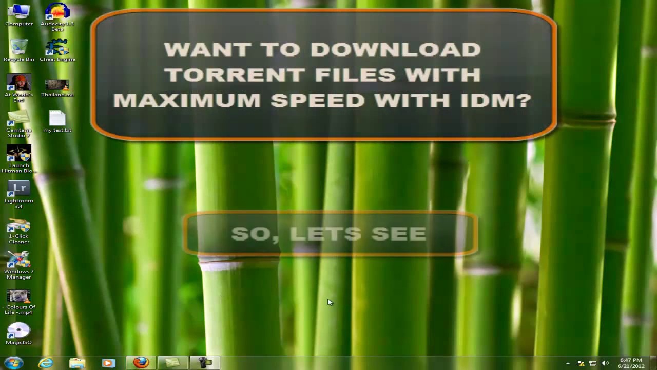 idm download torrent