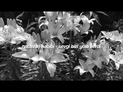 natavan həbibi - sevgi bizi yola verdi.