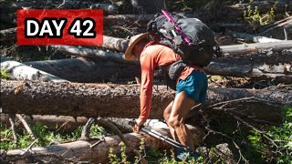 Day 42: Shelter from the Storm / CDT Thru-hike 2024