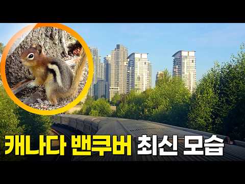 The Modern Face of Vancouver, Canada [Walk Into the World] KBS Broadcast 10/10/26