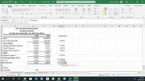 Common Size Financial Statements
